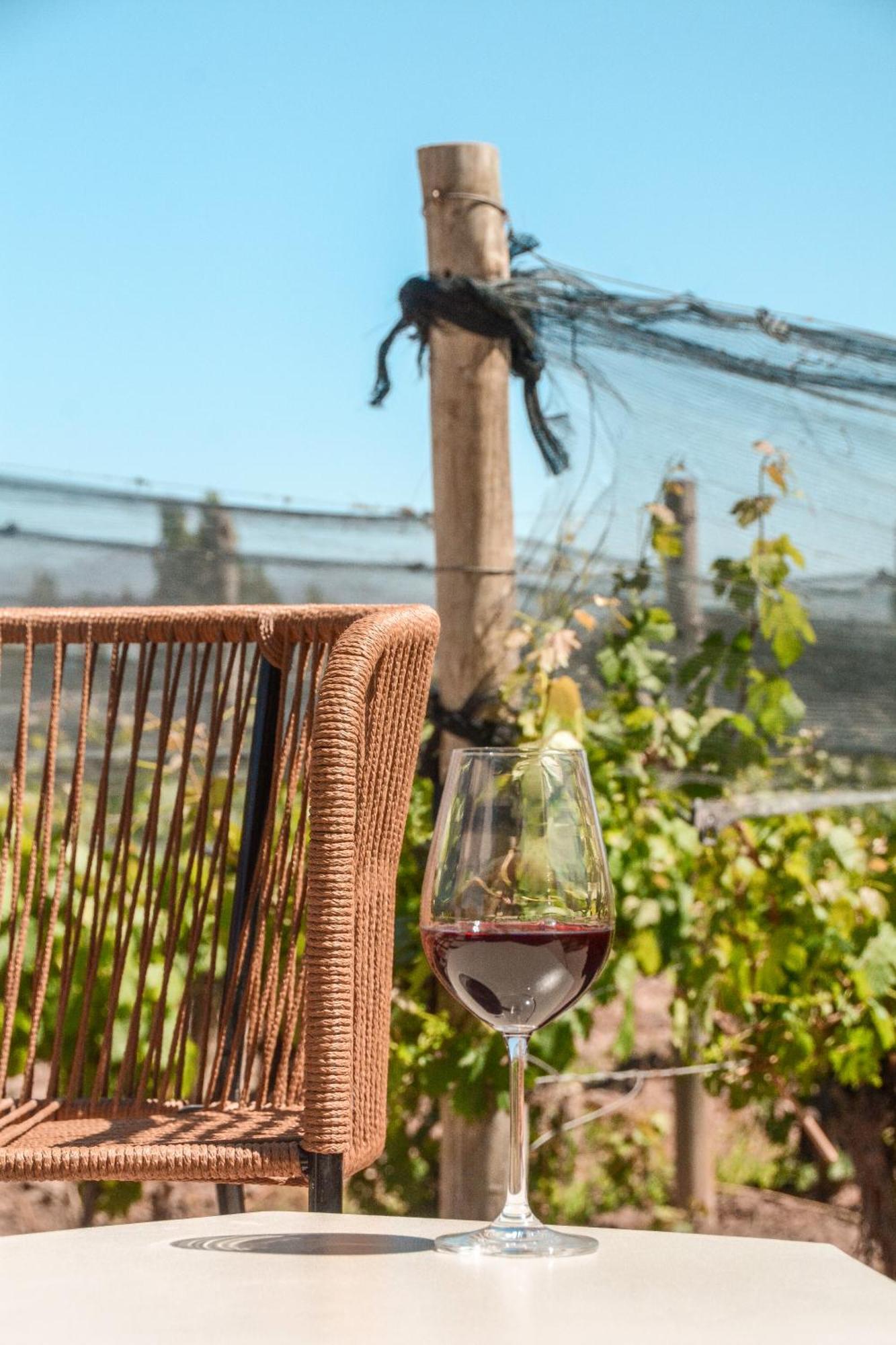 Agrelo Vines Lodge Экстерьер фото