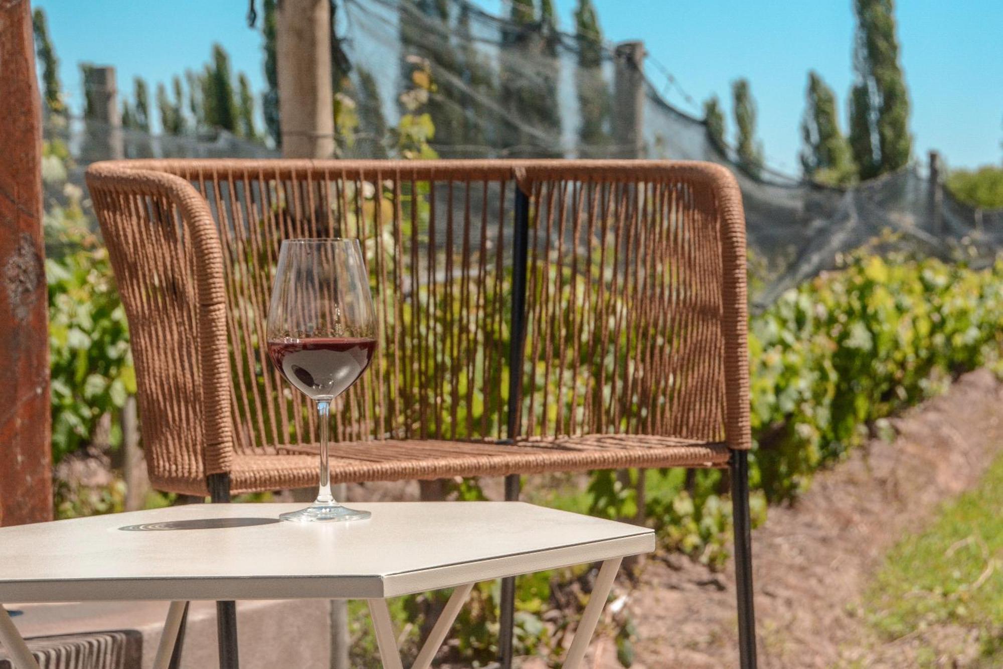 Agrelo Vines Lodge Экстерьер фото