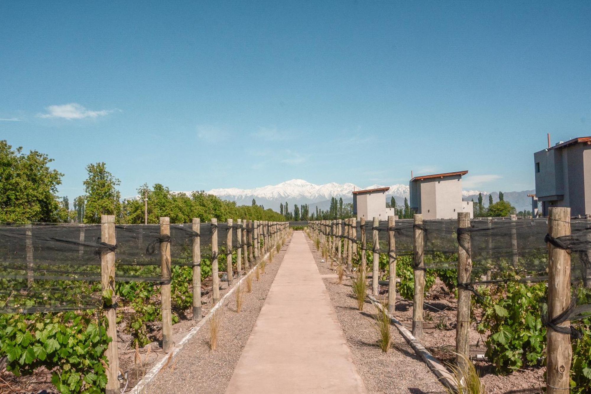 Agrelo Vines Lodge Экстерьер фото