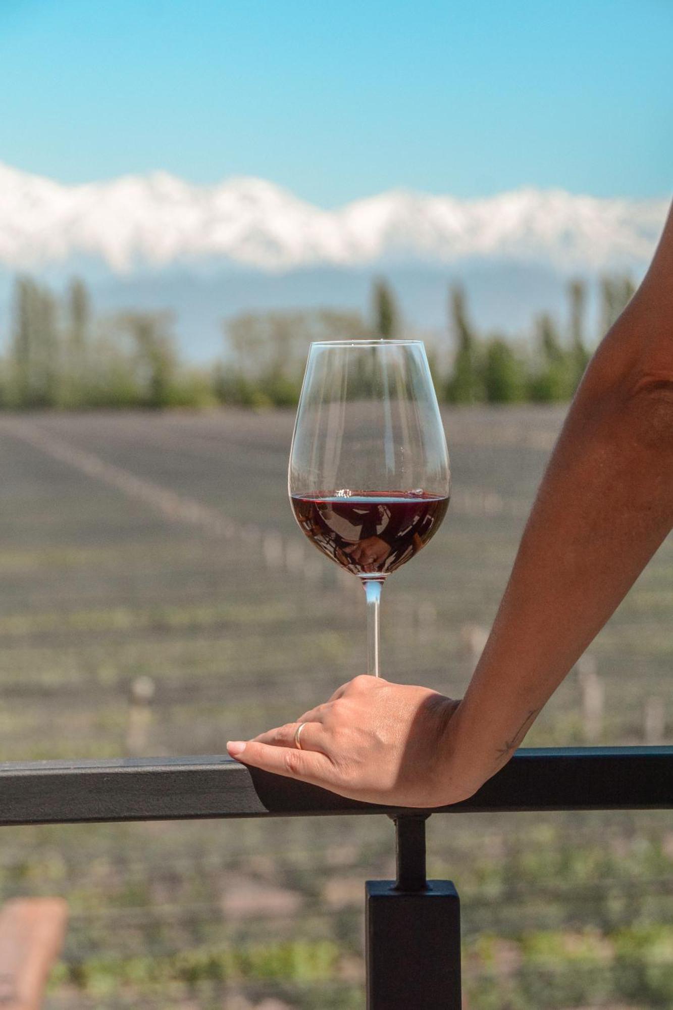 Agrelo Vines Lodge Экстерьер фото