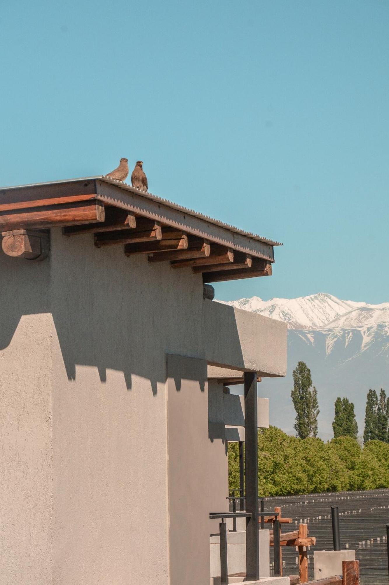 Agrelo Vines Lodge Экстерьер фото